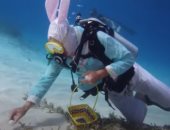 احتفال ومبادرة خيرية.. مسابقة لصيد بيض "عيد الفصح" تحت الماء فى فلوريدا