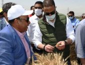 محافظ الفيوم يتفقد أعمال توريد القمح المحلي بصومعة طامية.. صور