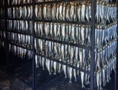 الصحة تضبط 81 طن أغذية مشكوك فى صلاحيتها قبل تداولها بالأسواق.. صور