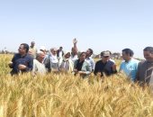 النائبة رشا فايز كليب تلتقى مُزارعى القمح بأبوحمص فى محافظة البحيرة