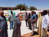 الشون والصوامع تستقبل القمح بالموسم الجديد.. الأقصر تستقبل 11 طنا.. حصاد 10 آلاف فدان بالشرقية.. المنيا تستقبل 1428 طنا.. ومحافظ أسوان: استلام 13 ألفا و326 طنا حتى الآن‎‎.. واستقبال 124 طنا بأسيوط