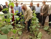 وزير الزراعة ومحافظ القليوبية يتفقدان صوب المشروع القومى لإنتاج التقاوى فى قها