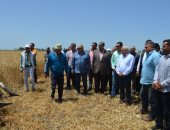 الخير مستمر فى بورسعيد.. اللواء عادل الغضبان يشهد موسم حصاد القمح.. فيديو وصور