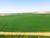 نقيب الزراعيين: لولا شبكة الطرق لما تمكنا من استصلاح أراضٍ جديدة في توشكي 