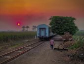 مصر جميلة.. "عبد الله" يبدع فى تصوير الريف المصرى بالمنوفية