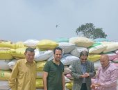 انتظام توريد القمح بإجمالى 384.377 طن لشون وصوامع محافظة البحيرة