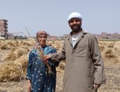 المرأة الريفية في الدار والغيط.. فرحة بحقول الشرقية بمناسبة حصاد القمح.. صور