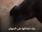 فتاة مغربية تسمح لكلبتها بقتل قطة أمام عدسة الكاميرا.. فيديو
