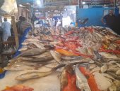 استقرار أسعار الأسماك في مصر والبلطي بـ 33 جنيها للكيلو 