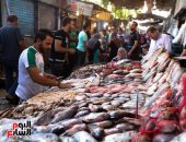 الأهالى يقبلون على شراء الأسماك بسوق المنيب قبيل عيد الفطر
