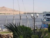 هتركب مركب وتعدى النيل.. الحديقة النباتية أبرز مقصد سياحى فى أسوان.. لايف وصور