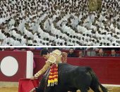 العالم هذا المساء.. إقبال كبير فى إسبانيا على حضور مصارعة الثيران خلال احتفالية سان جورج فى سرقسطة.. محمد صلاح يشارك فى تدريب ليفربول الأخير قبل مواجهة فياريال.. ووزير الداخلية السعودى يؤكد نجاح موسم العمرة