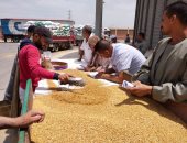 "تموين الإسكندرية": صوامع الغلال استقبلت 323.760 طن قمح طبقا للمواصفات الفنية