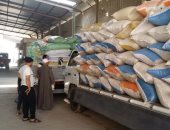 القمح فى الصوامع.. توريد 45829 ألف طن و493 كيلو بالشرقية و24029 طنا بكفر الشيخ