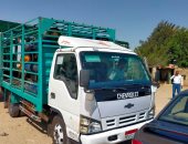 تحرير محضر لمستودع بوتاجاز لتصرفه فى 3480 أسطوانة ببنى سويف