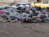 أهالى شارع عبد المنعم شريف بالمحلة يشكون تراكم القمامة.. رئيس المدينة يستجيب