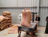 محافظ المنيا: توريد 72 ألف طن من القمح منذ بدء الموسم بالشون والصوامع