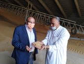 محافظ الإسكندرية: توريد 2267 طن قمح للصوامع حتى الآن