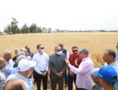 محافظ كفر الشيخ يتفقد أعمال حصاد القمح بقلين ويشيد بالمزارعين لتوريده