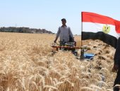 محافظ الفيوم: توريد 22 ألفا و214 طنا من محصول القمح للشون والصوامع