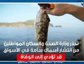 الصحة تحذر من تناول أو صيد سمكة القراض السامة: ليس لسمها علاج.. فيديو