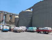 مواكب الذهب الأصفر إلى الشون بالمحافظات.. حصاد 16550 فدان قمح وتوريد 16157 طنا بالقليوبية و9 آلاف طن فى بنى سويف.. 1436 طنا و202 كيلو بالأقصر.. وشون المنوفية تستقبل ما يزيد على 25 ألف طن