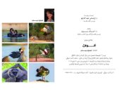 افتتاح معرض ألوان للفنانة نجوى دياب بمتحف أحمد شوقى.. الأربعاء 