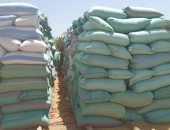 محافظ المنيا: توريد 87 ألف طن قمح إلى الشون والصوامع