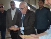 محافظ بورسعيد: توريد 2500 طن قمح للمطاحن و1000 طن لصوامع القنطرة شرق