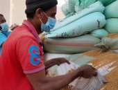 جمال القمح فى أسوان.. الفلاحون يواصلون توريد "الذهب الأصفر" للصوامع.. لايف