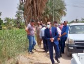 وكيل تموين الأقصر ووكيلة الزراعة يتفقدان توريد القمح بالصوامع.. صور