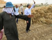محافظا الشرقية والمنيا يتابعان حصاد محصول القمح وتوريده للصوامع