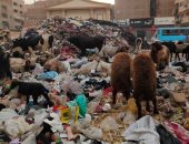 أهالى شبرا الخيمة يناشدون رفع القمامة من شارع أحمد عرابى.. والمحافظ يرد