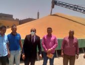 وكيل تموين الأقصر يعلن توريد 6 آلاف و669 طن قمح لشون وصوامع المحافظة.. صور