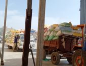 توريد أكثر من 98 ألف طن قمح لصوامع  كفر الشيخ