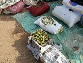 الطماطم بـ10 والخيار بـ5 والجوافة بـ7 جنيهات.. جولة بسوق فى المنوفية "لايف"