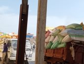 توريد 109 آلاف و634 طن قمح لصوامع وشون كفر الشيخ