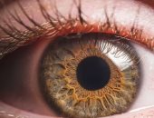 دراسة: أصحاب العيون الملونة أقل عرضة للإصابة بالتنكس البقعي وفقدان السمع
