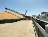 "القمح" يزين صوامع وشون المحافظات.. اكتمال السعة التخزينية لأول صومعتين بتوشكى وشرق العوينات.. "زراعة الوادى الجديد": جميع الأقماح مطابقة لدرجة النظافة.. ومحافظ كفر الشيخ: تقديم كافة التيسيرات للمزارعين.. صور