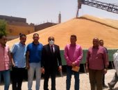 الأقصر تواصل عمليات توريد القمح للشون والصوامع بإجمالى 7 آلاف طن قمح.. صور