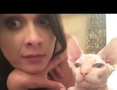 المعبودة باستت .. هل ياسمين عبد العزيز تمتلك قطة فرعونية؟