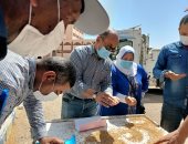 قمح الخير داخل صوامع مصر.. حصاد 39 ألف فدان وتوريد 53 ألف طن بالقليوبية.. كفر الشيخ تستلم 118 ألفا و699 طنا بـ21 موقعا.. توريد 17 ألف طن قمح مطابق للمواصفات بالإسكندرية.. و293 ألف طن لشون الشرقية.. صور