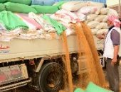 محافظ بورسعيد: توريد 6971 طن قمح حتى الآن من أراضي شرق وجنوب