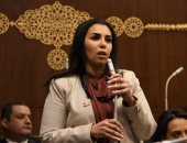سها سعيد "نائبة التنسيقية" تنتقد القصور التشريعى لتهيئة مناخ الإبداع وريادة الأعمال