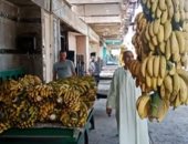 اعرف طرق تخزين الموز فى التلاجات وتجول داخل سوق السمك بالعبور "فيديو"
