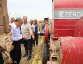 محافظ المنيا: توريد 209 آلاف طن من محصول القمح بالشون والصوامع الحكومية