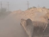 إزالة التعديات بالبناء المخالف على الأراضي الزراعية وأملاك الدولة بالمنيا.. صور