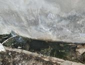 قرية بلقينا بالمحلة فى الغربية تناشد سرعة إنهاء مشروع الصرف.. وشركة المياه ترد