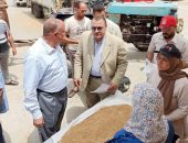 "زراعة القليوبية": حصاد 44 ألف فدان قمح وتوريد 82 ألف طن للصوامع