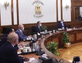 خبراء السيارات: يوجد توجه ملحوظ من الدولة لجذب استثمارات أجنبية لقطاع السيارات